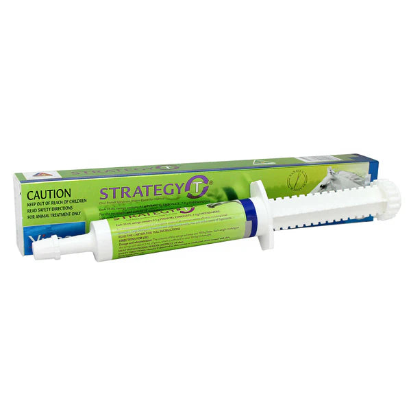 Strategy-T Paste 35ML