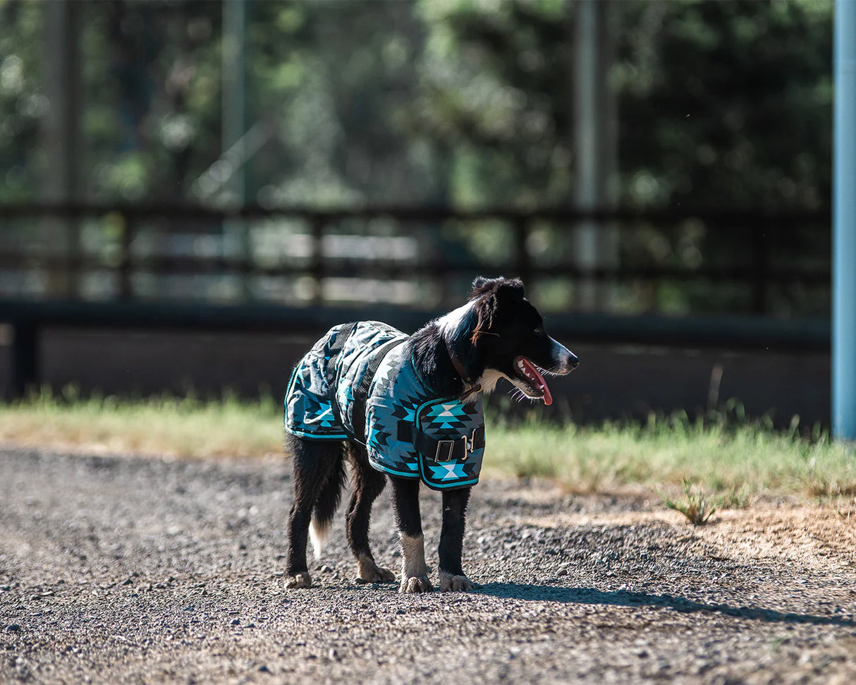 Dog Coat Thermo Master Aztec Turquoise
