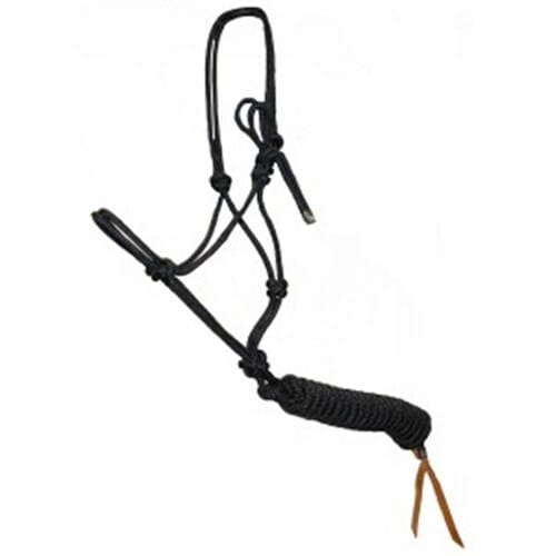 Training Halter & Lead Black 6m
