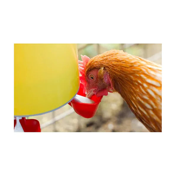 Chook Tower Drinker