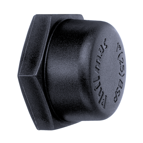 Phil End Cap Threaded 1in