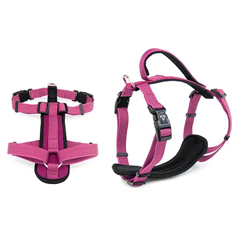 L Premium Sport Dog Harness