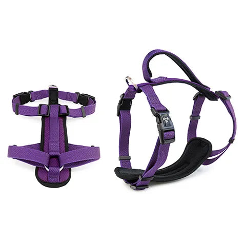 L Premium Sport Dog Harness