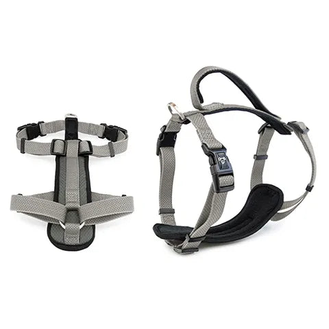 XL Premium Dog Harness