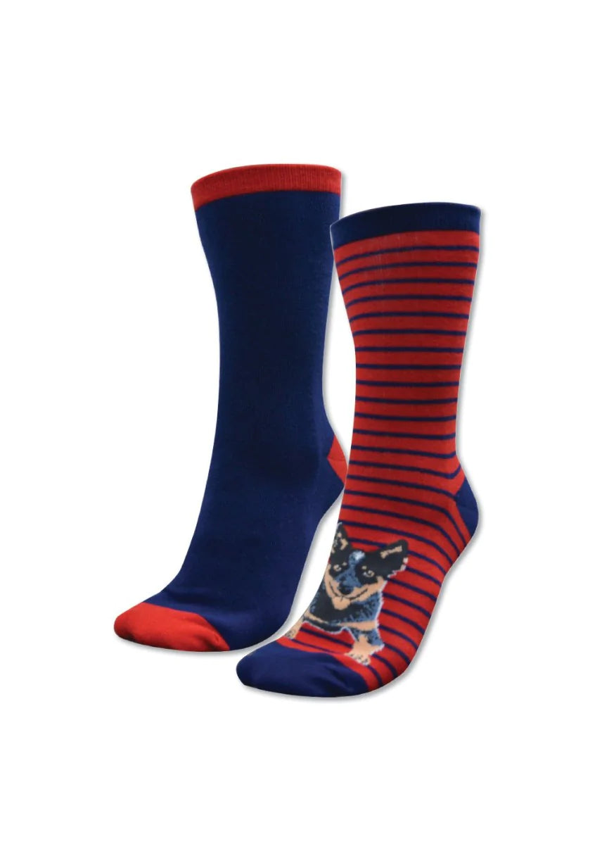 Kids Homestead Socks 2pack - Blue Heeler