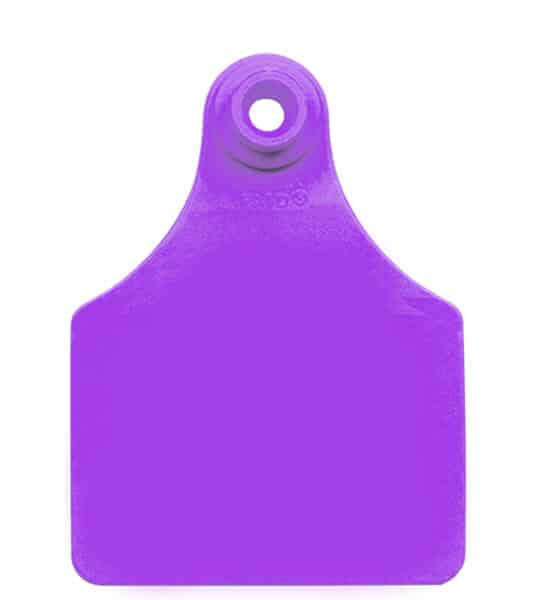Allflex Maxi Female Purple