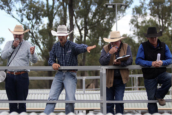 2020 WEANER SALE RESULTS