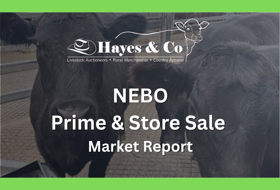 Nebo Prime & Store Sale - Friday 6th March 2026 - Market Report
