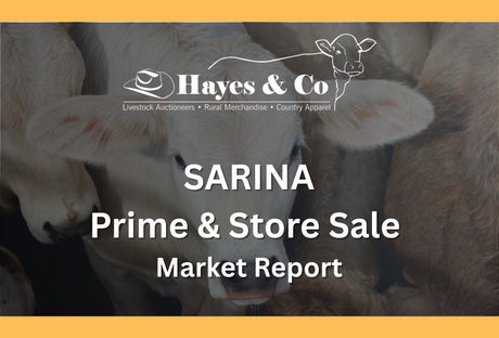 SARINA COMBINED AGENTS PRIME & STORE SALE - 2ND OCTOBER 2026 - 450 HEAD