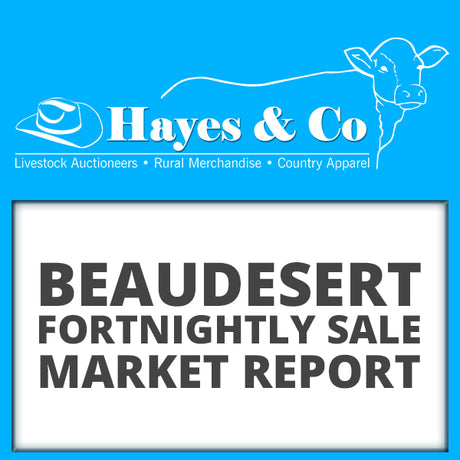 Beaudesert Cattle Sale Report