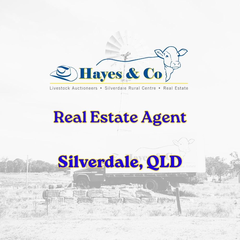 REAL ESTATE SALES AGENT