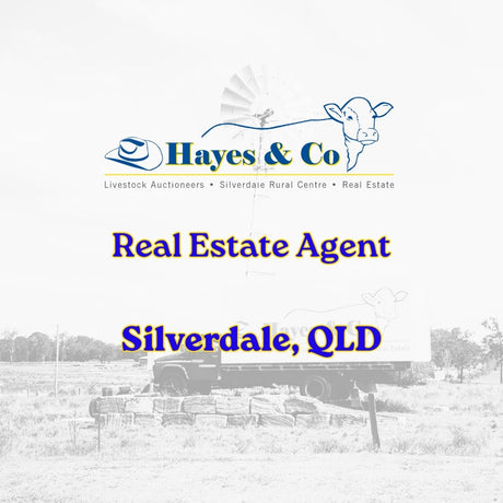 REAL ESTATE SALES AGENT