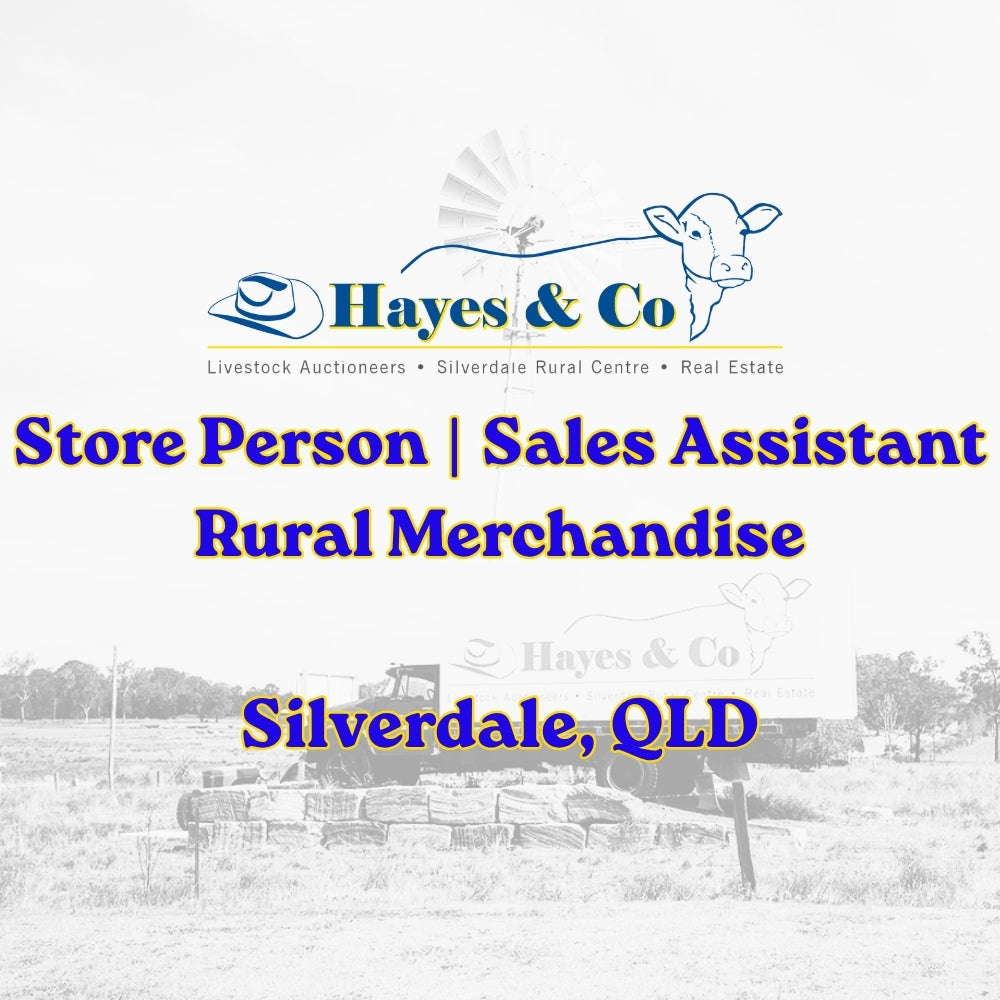 Store Person | Sales Assistant