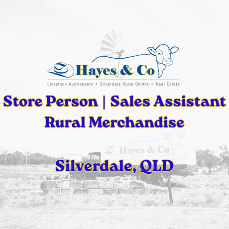 Store Person | Sales Assistant
