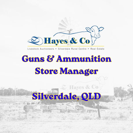Guns & Ammunition Store Manager
