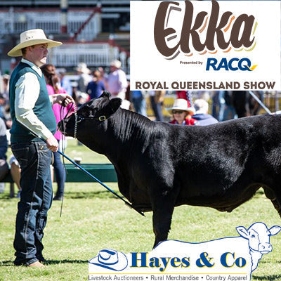 Silverdale to host the 2020 EKKA Prime Beef Competition.