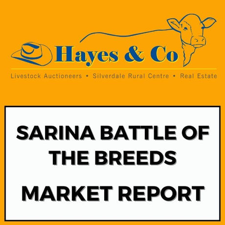 SARINA BATTLE OF THE BREEDS SALE - MARKET REPORT