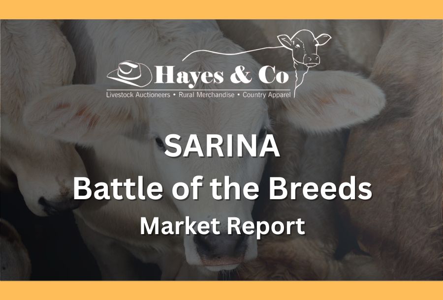 SARINA BATTLE OF THE BREEDS - 29TH MAY 2026 - 1400 HEAD