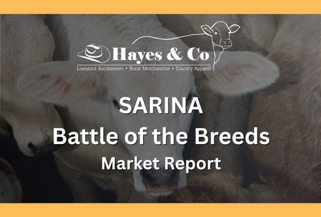 SARINA BATTLE OF THE BREEDS - 29TH MAY 2026 - 1400 HEAD