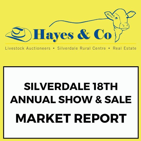 SILVERDALE 18TH ANNUAL SHOW & SALE - 384 HEAD