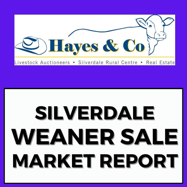 SILVERDALE ANNUAL WEANER SALE - SATURDAY 21ST JUNE 2025 - MARKET REPORT