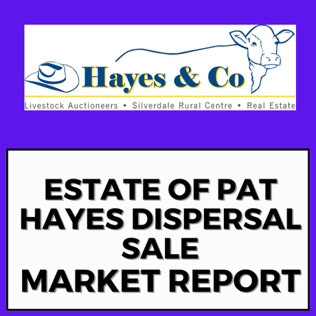 ESTATE OF PAT HAYES DISPERSAL SALE