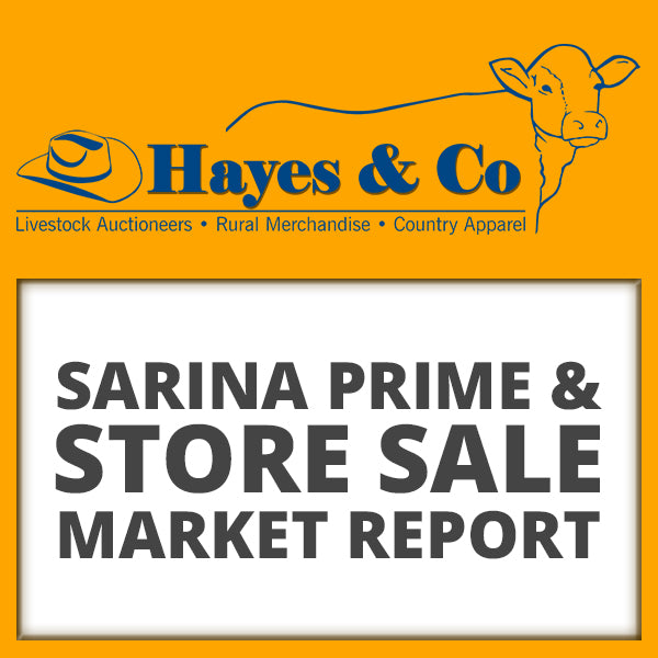 SARINA PRIME & STORE SALE - 30TH MAY 2025 - 547 HEAD