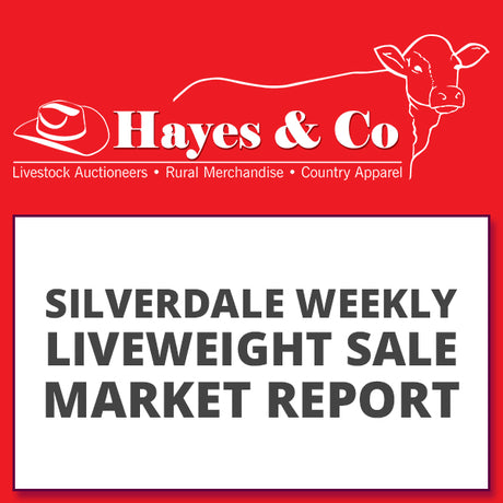 Silverdale Liveweight Sale report