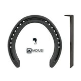 Daily Trainer 6 Hind 1/Clip Shoe (1PR)