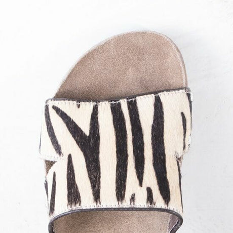 9212688_toe