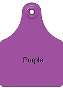 Allflex Female Large Purple