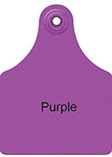 Allflex Female Large Purple