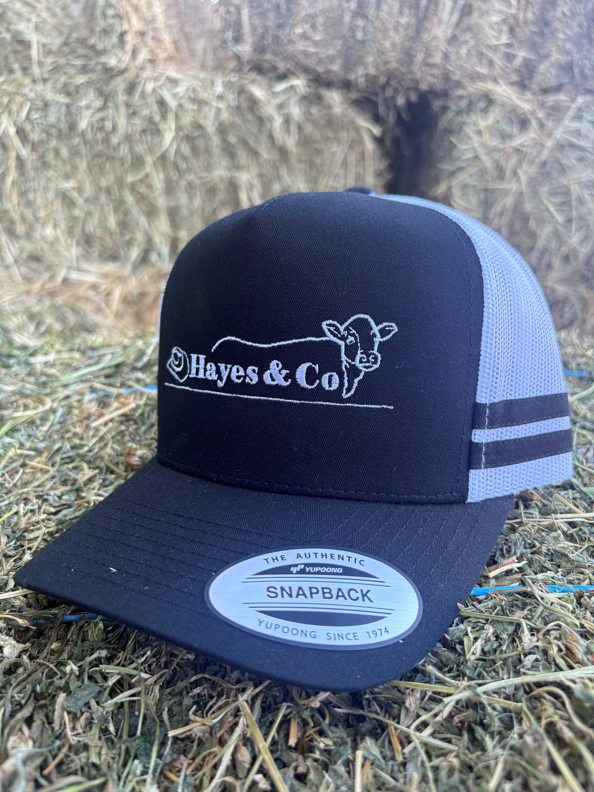 Hayes and Co Trucker Cap - Black/White