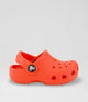 CROCS Classic Toddler Starfish