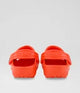 CROCS Classic Toddler Starfish