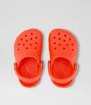 CROCS Classic Toddler Starfish