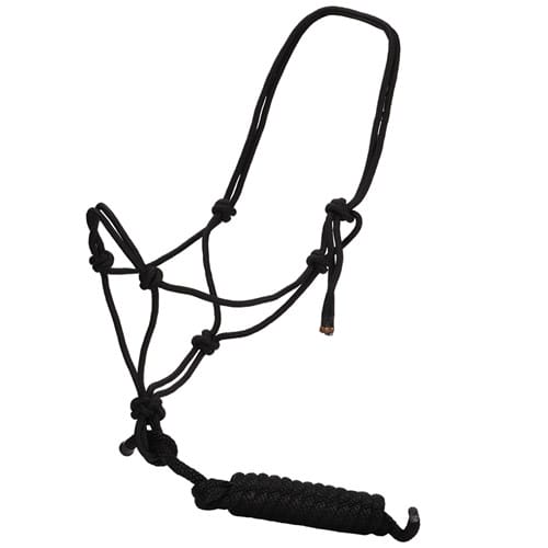 Rope Halter w/Lead Black 10'