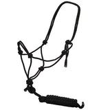 Rope Halter w/Lead Black 10'