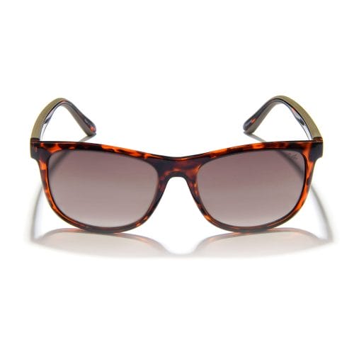 Gidgee - Fender Tort Sunglasses