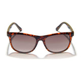Gidgee - Fender Tort Sunglasses