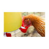 Chook Tower Drinker