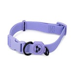 Dog Collar Waterproof 34 - 49cm