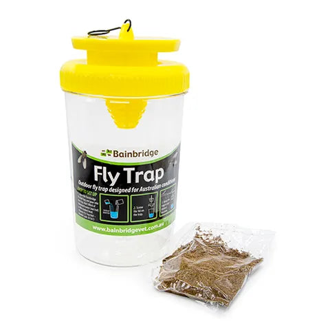 Fly Trap
