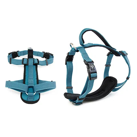 M Premium Sport Dog Harness
