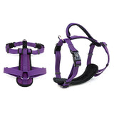 M Premium Sport Dog Harness