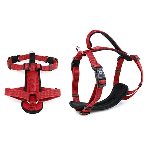 XL Premium Dog Harness