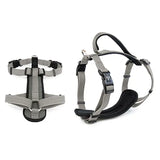 M Premium Sport Dog Harness