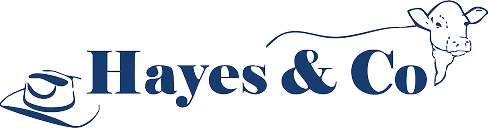Hayes & Co