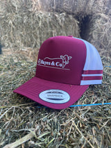 Hayes and Co Trucker Cap - Maroon/White