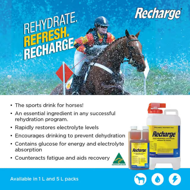 Virbac Recharge Horse 1L